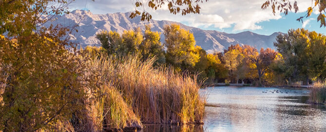 A pond at Floyd Lamb park is beautifully captured in this photograph with mountains in the background.